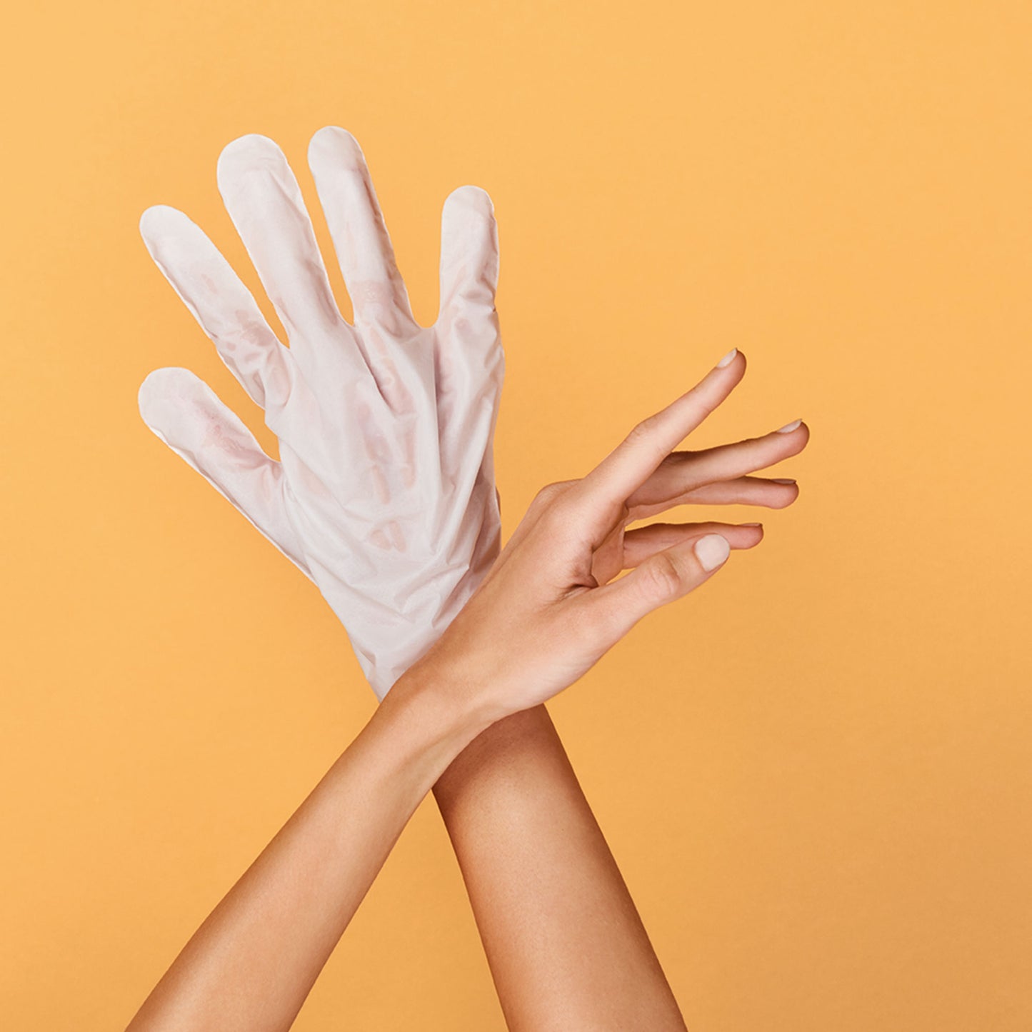 Gants Masque Réparateurs Pêche