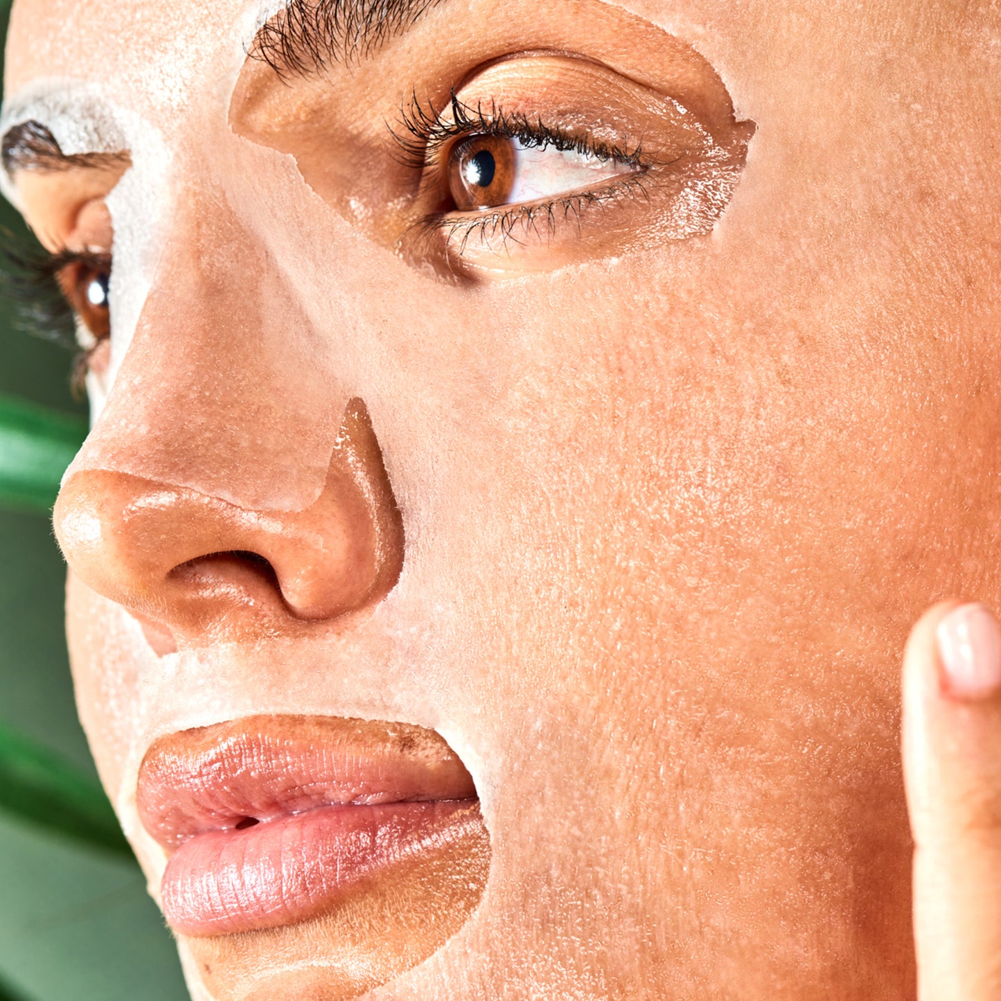 Masque hydratant à l'avocat