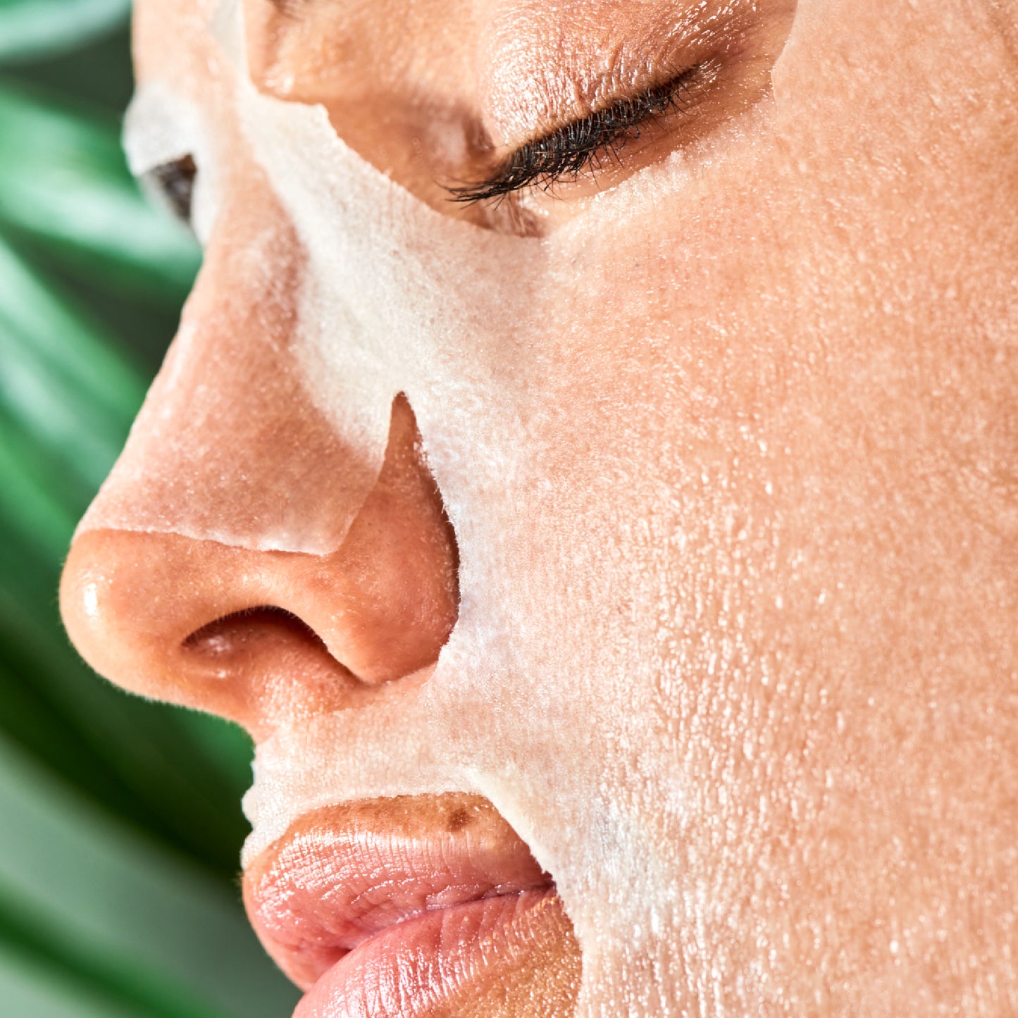 Masque hydratant à l'avocat
