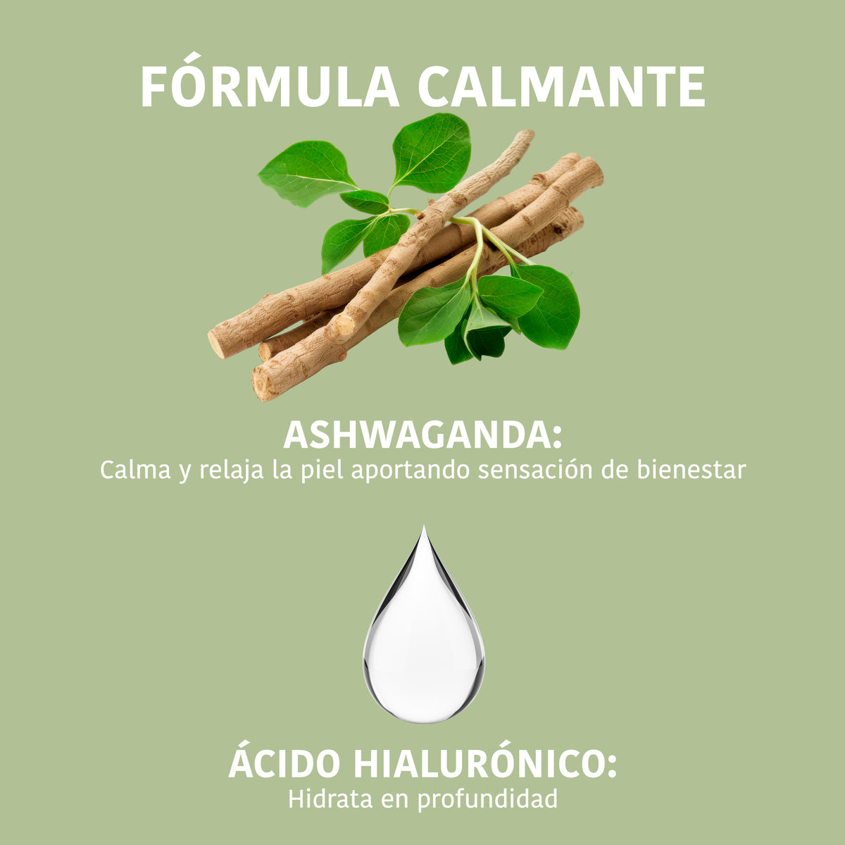 Mascarilla MINDFUL RITUAL Calmante con Ashwagandha