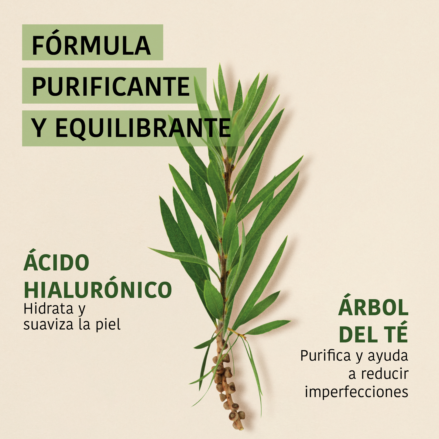 Mascarilla Purificante con Árbol del Té